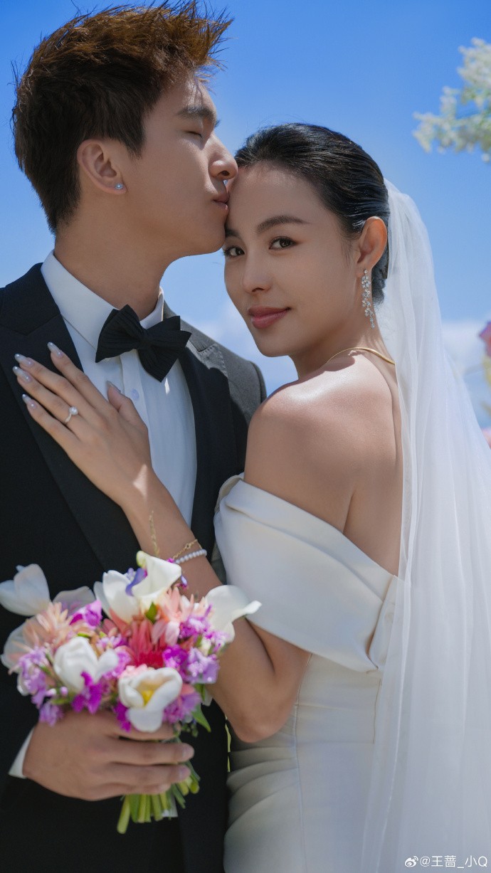 蔷晒旅行婚, entit, tenan